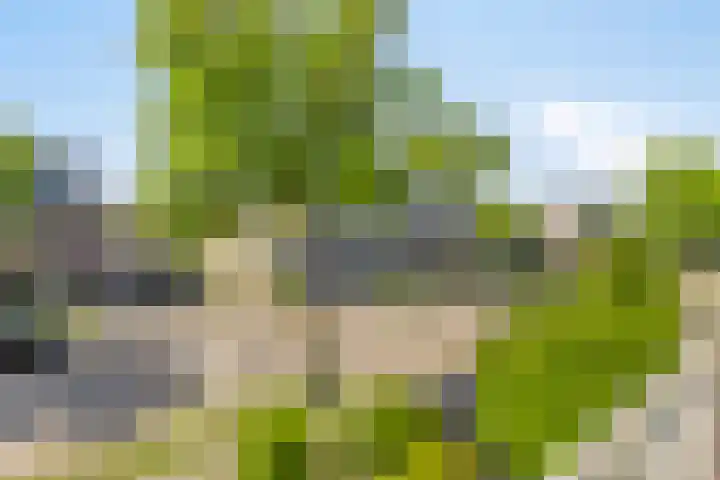 Saltshof 2016 Wijchen thumbnail 20