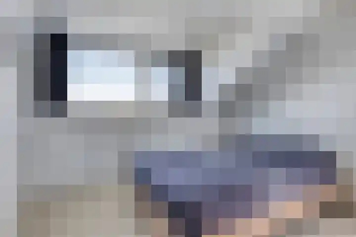 Saltshof 2016 Wijchen thumbnail 23