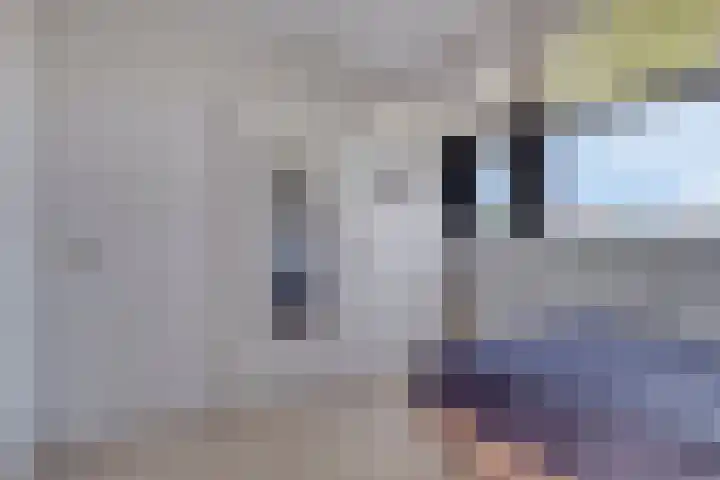 Saltshof 2016 Wijchen thumbnail 24