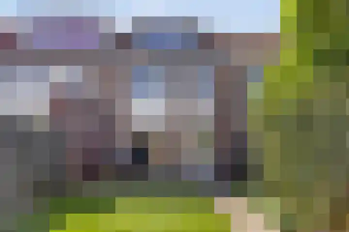 Saltshof 2016 Wijchen thumbnail 25