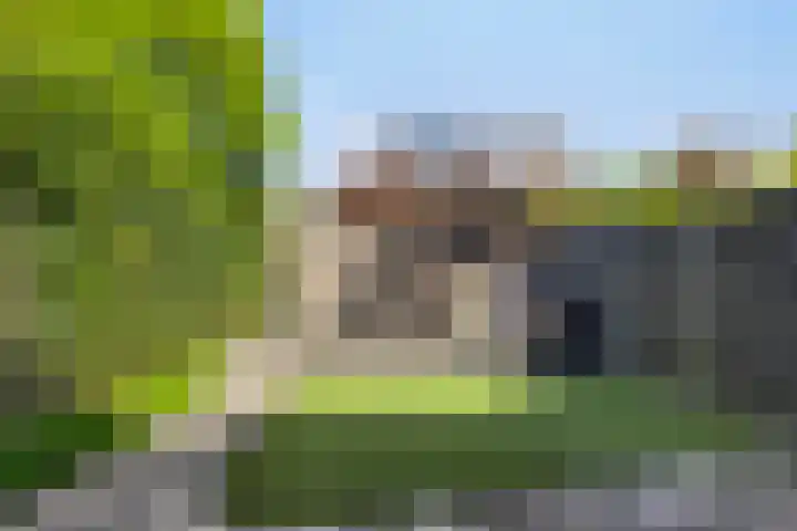 Saltshof 2016 Wijchen thumbnail 27