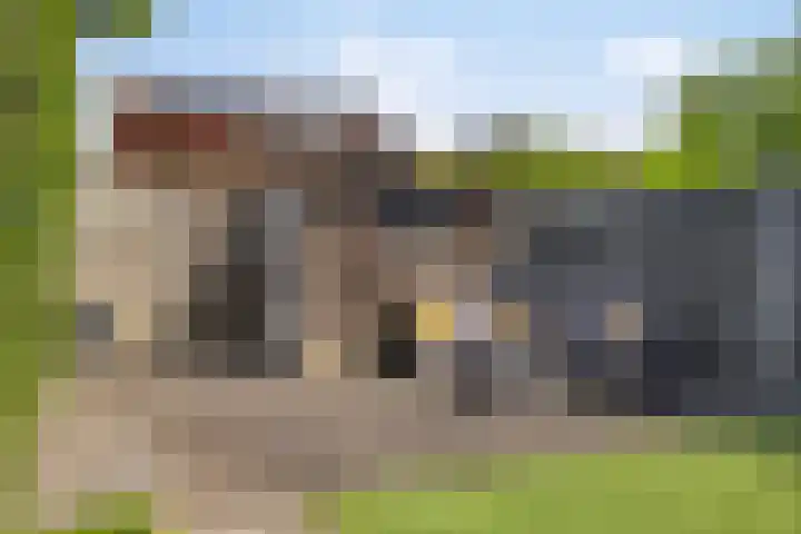 Saltshof 2016 Wijchen thumbnail 28