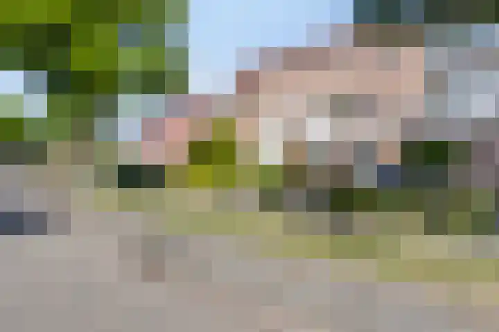 Saltshof 2016 Wijchen thumbnail 29