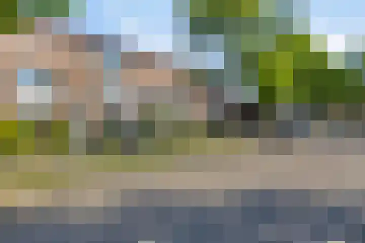 Saltshof 2016 Wijchen thumbnail 30