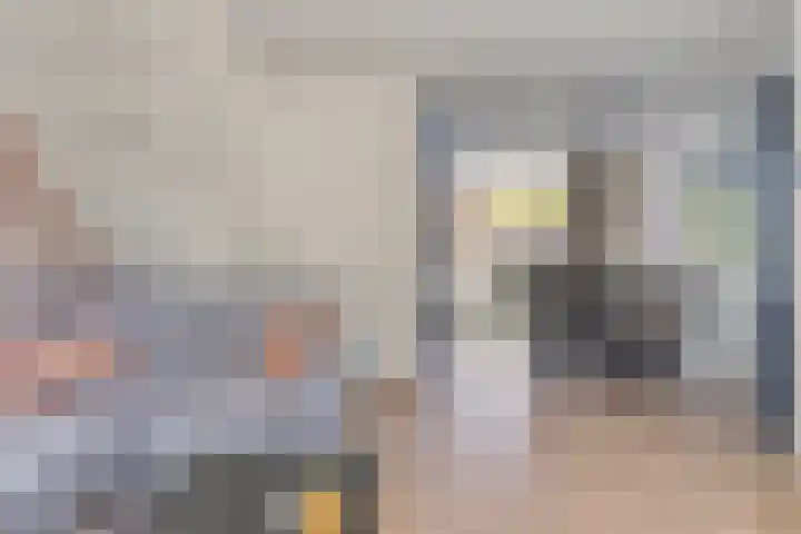 Saltshof 2016 Wijchen thumbnail 6