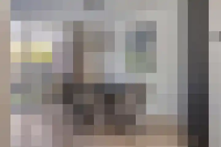 Saltshof 2016 Wijchen thumbnail 7