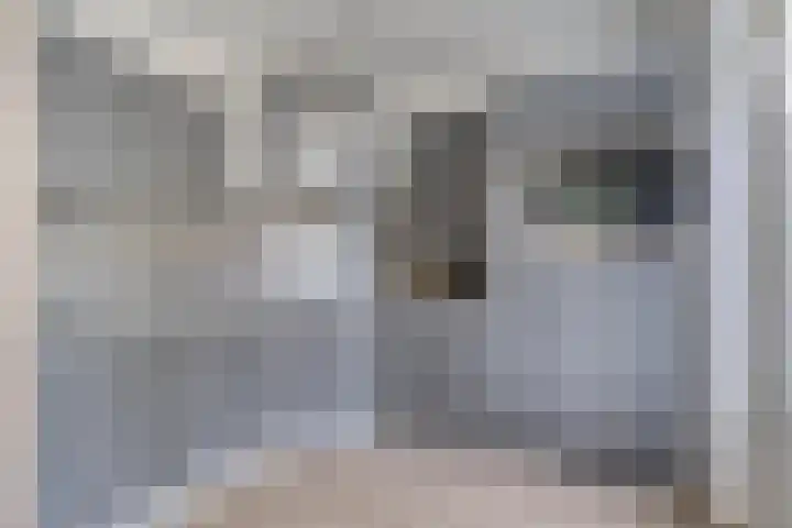 Saltshof 2016 Wijchen thumbnail 8