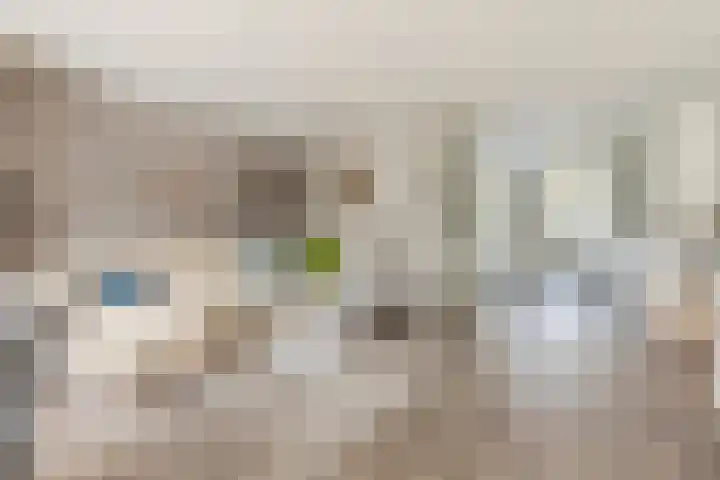 Saltshof 2033 Wijchen thumbnail 10