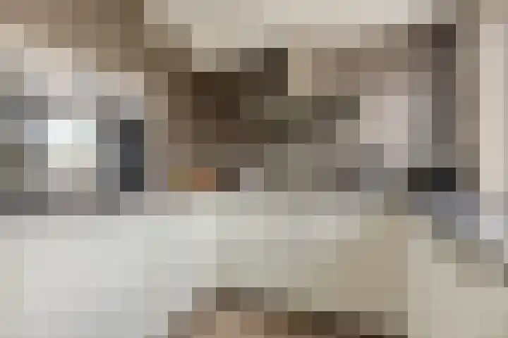 Saltshof 2033 Wijchen thumbnail 12