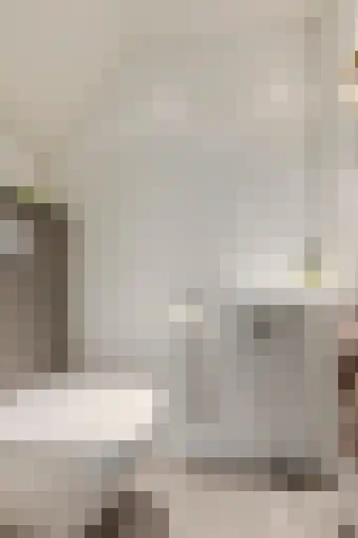 Saltshof 2033 Wijchen thumbnail 16