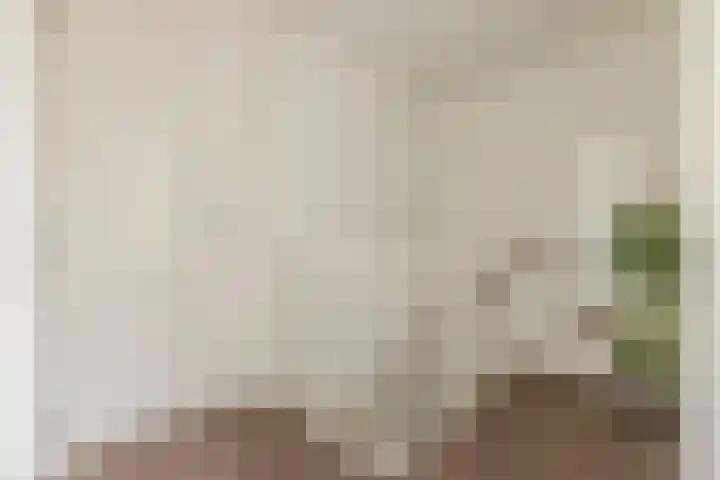 Saltshof 2033 Wijchen thumbnail 17