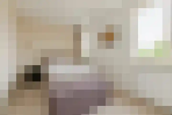 Saltshof 2033 Wijchen thumbnail 18