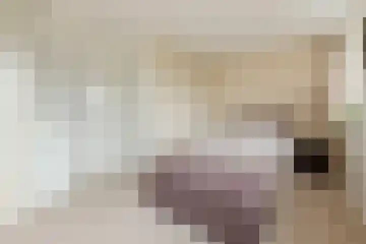 Saltshof 2033 Wijchen thumbnail 19