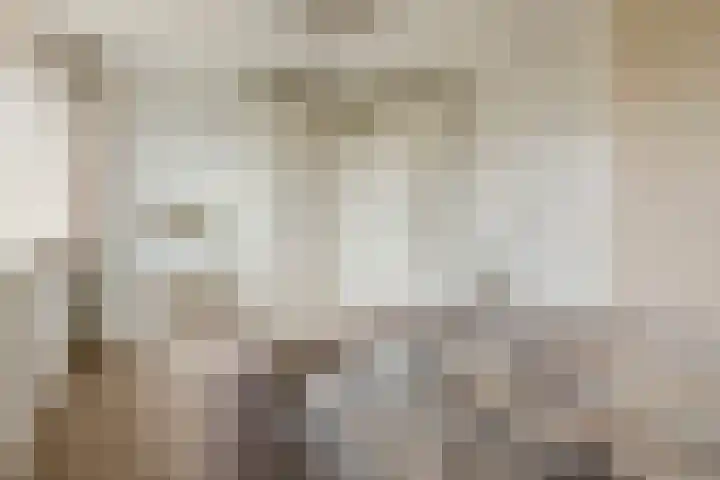 Saltshof 2033 Wijchen thumbnail 20