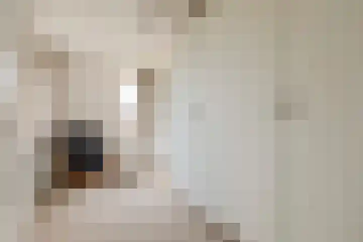 Saltshof 2033 Wijchen thumbnail 21
