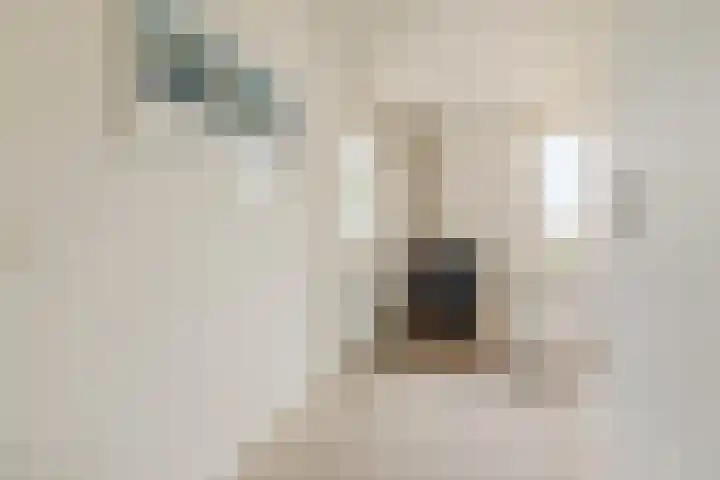 Saltshof 2033 Wijchen thumbnail 22