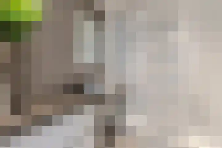 Saltshof 2033 Wijchen thumbnail 27