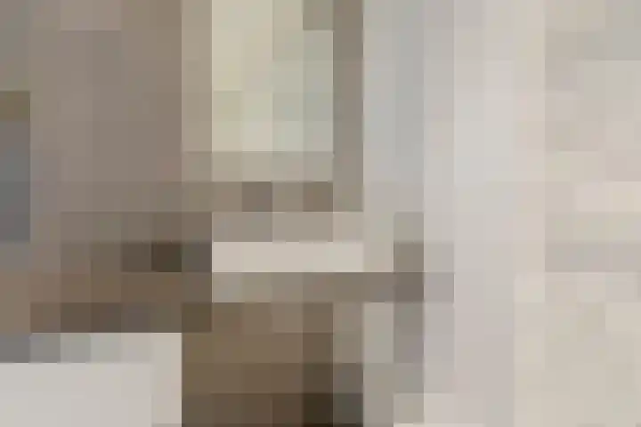 Saltshof 2033 Wijchen thumbnail 28