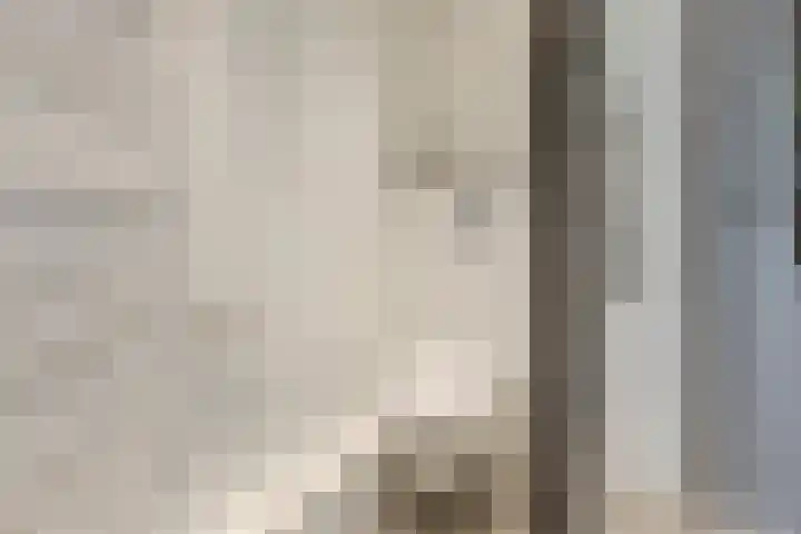 Saltshof 2033 Wijchen thumbnail 29
