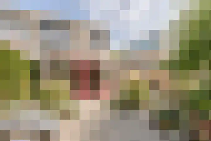 Saltshof 2033 Wijchen thumbnail 35