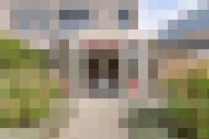 Saltshof 2033 Wijchen thumbnail 36