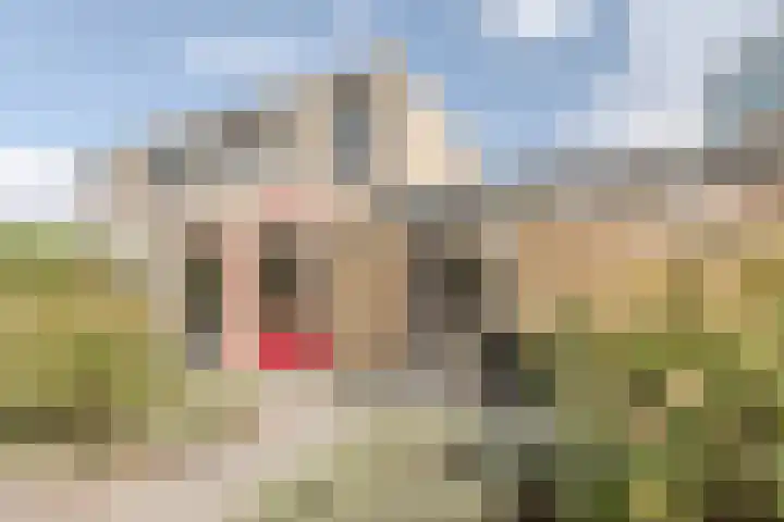 Saltshof 2033 Wijchen thumbnail 37