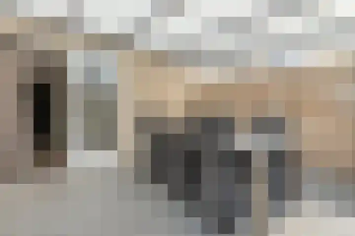 Saltshof 2033 Wijchen thumbnail 39