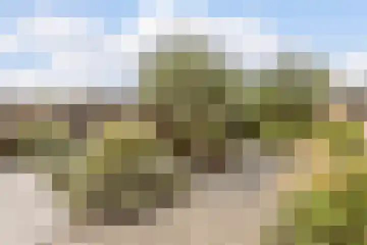 Saltshof 2033 Wijchen thumbnail 40