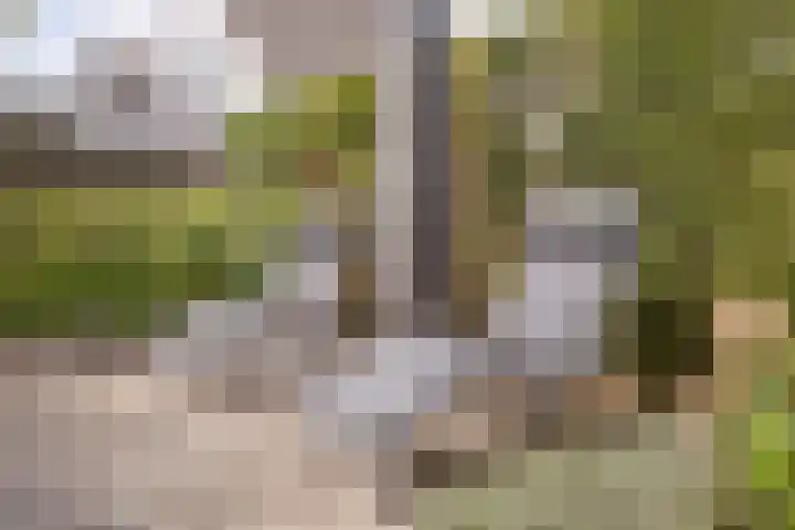 Saltshof 2033 Wijchen thumbnail 42