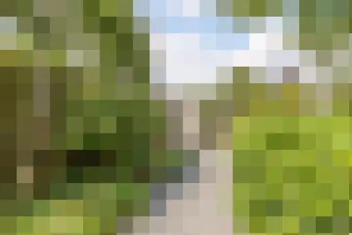 Saltshof 2033 Wijchen thumbnail 47