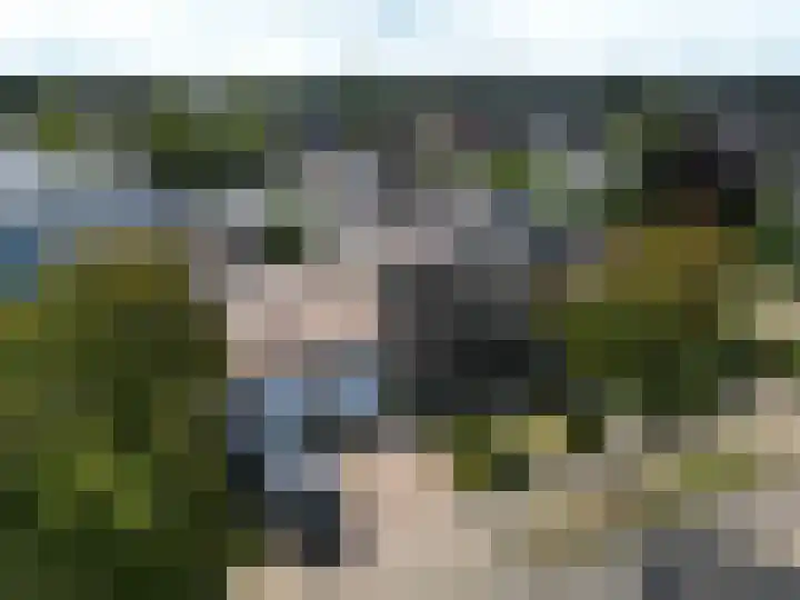 Saltshof 2033 Wijchen thumbnail 48