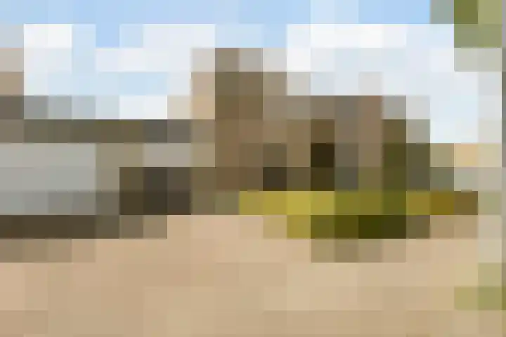 Saltshof 2033 Wijchen thumbnail 50