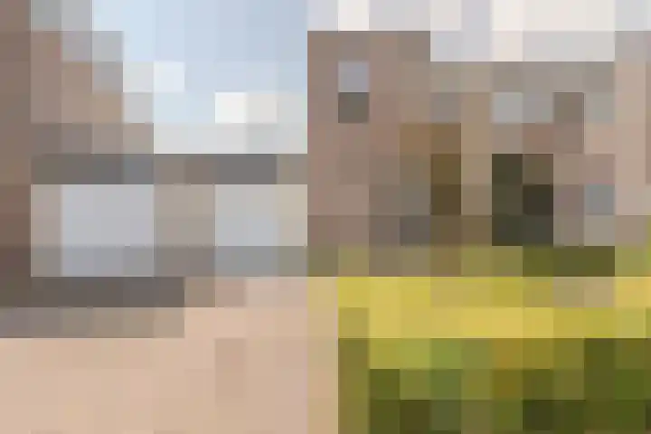 Saltshof 2033 Wijchen thumbnail 54