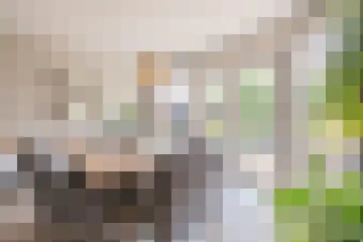Saltshof 2033 Wijchen thumbnail 7