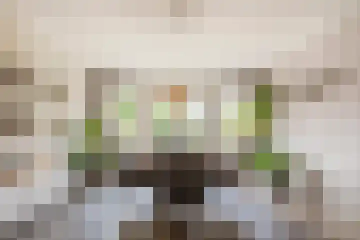 Saltshof 2033 Wijchen thumbnail 8