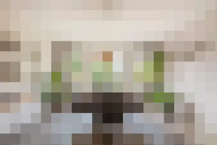 Saltshof 2033 Wijchen thumbnail 9