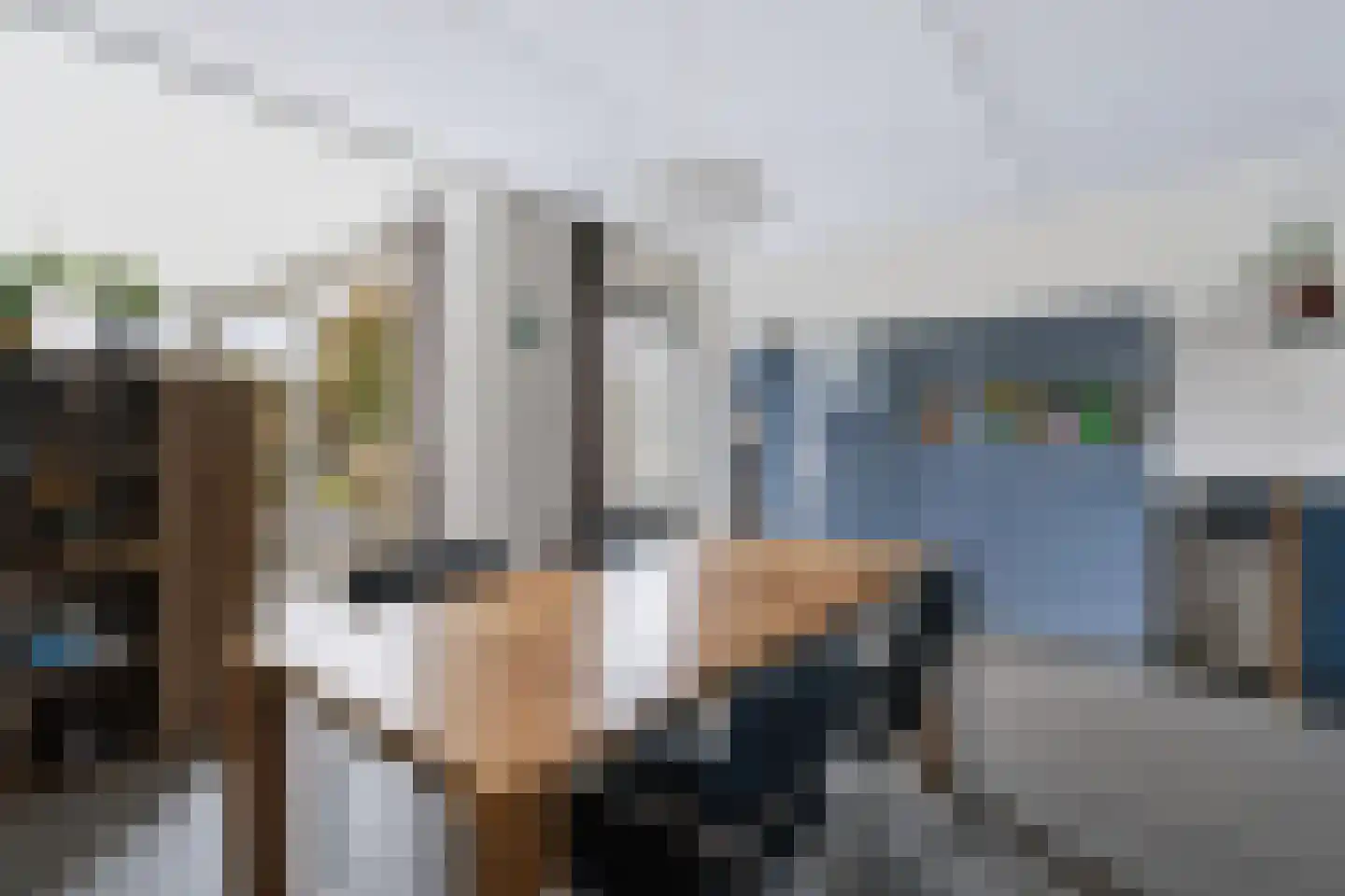 Saltshof 2039 Wijchen thumbnail 25