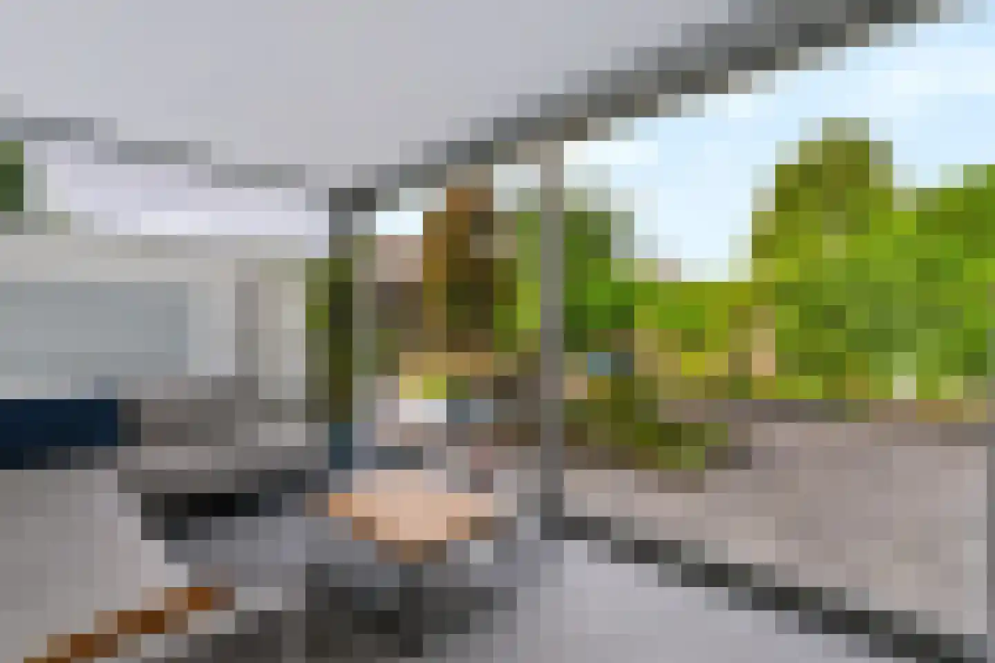 Saltshof 2039 Wijchen thumbnail 28