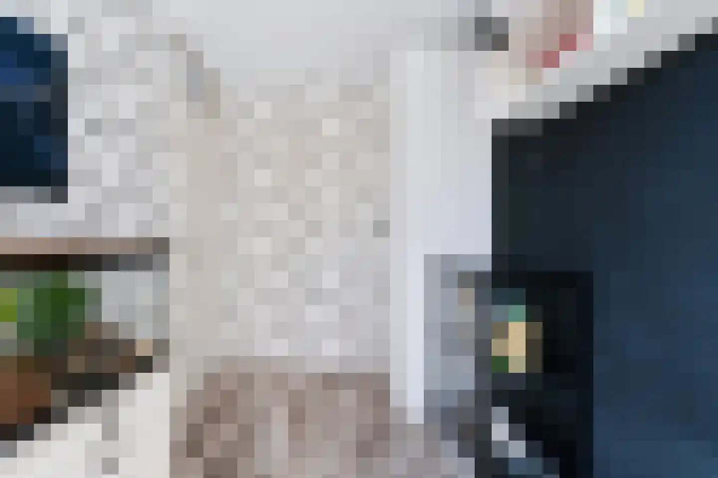 Saltshof 2039 Wijchen thumbnail 37