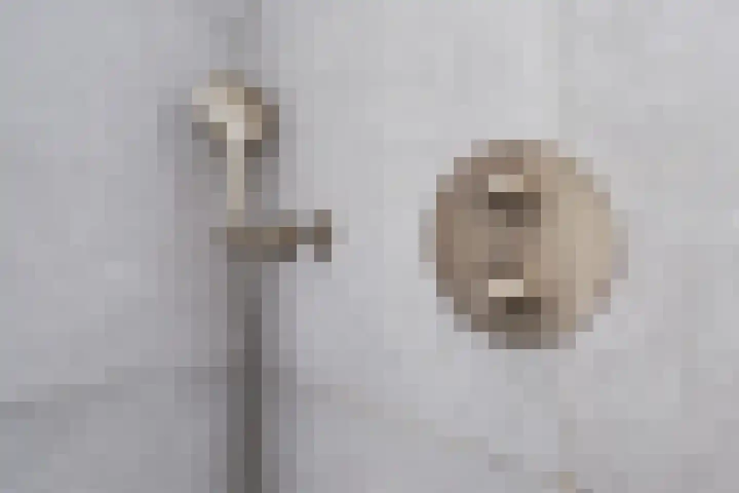 Saltshof 2039 Wijchen thumbnail 42