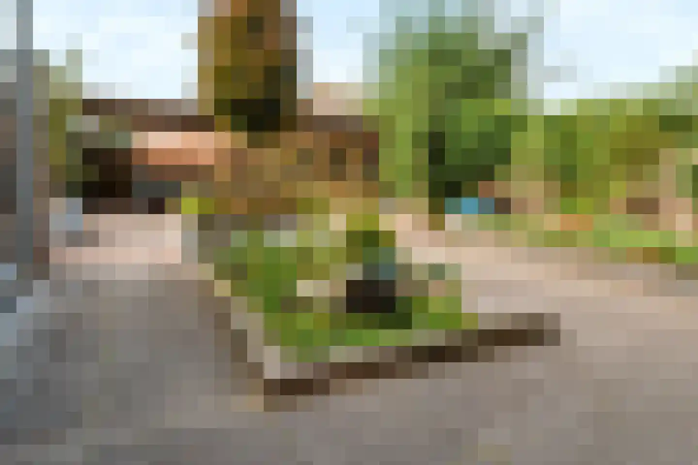 Saltshof 2039 Wijchen thumbnail 43