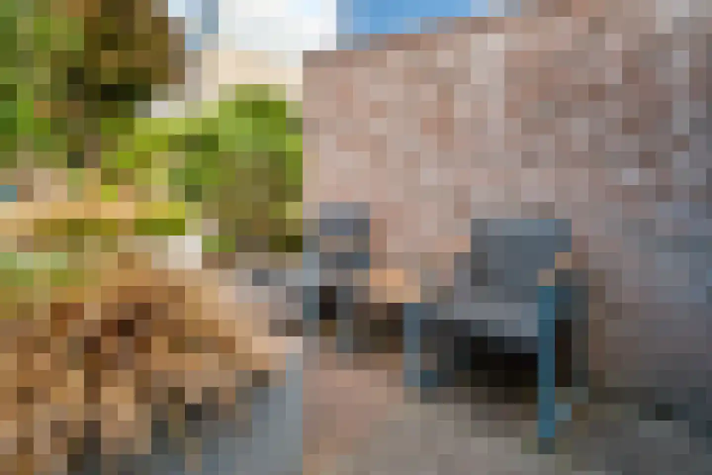 Saltshof 2039 Wijchen thumbnail 47
