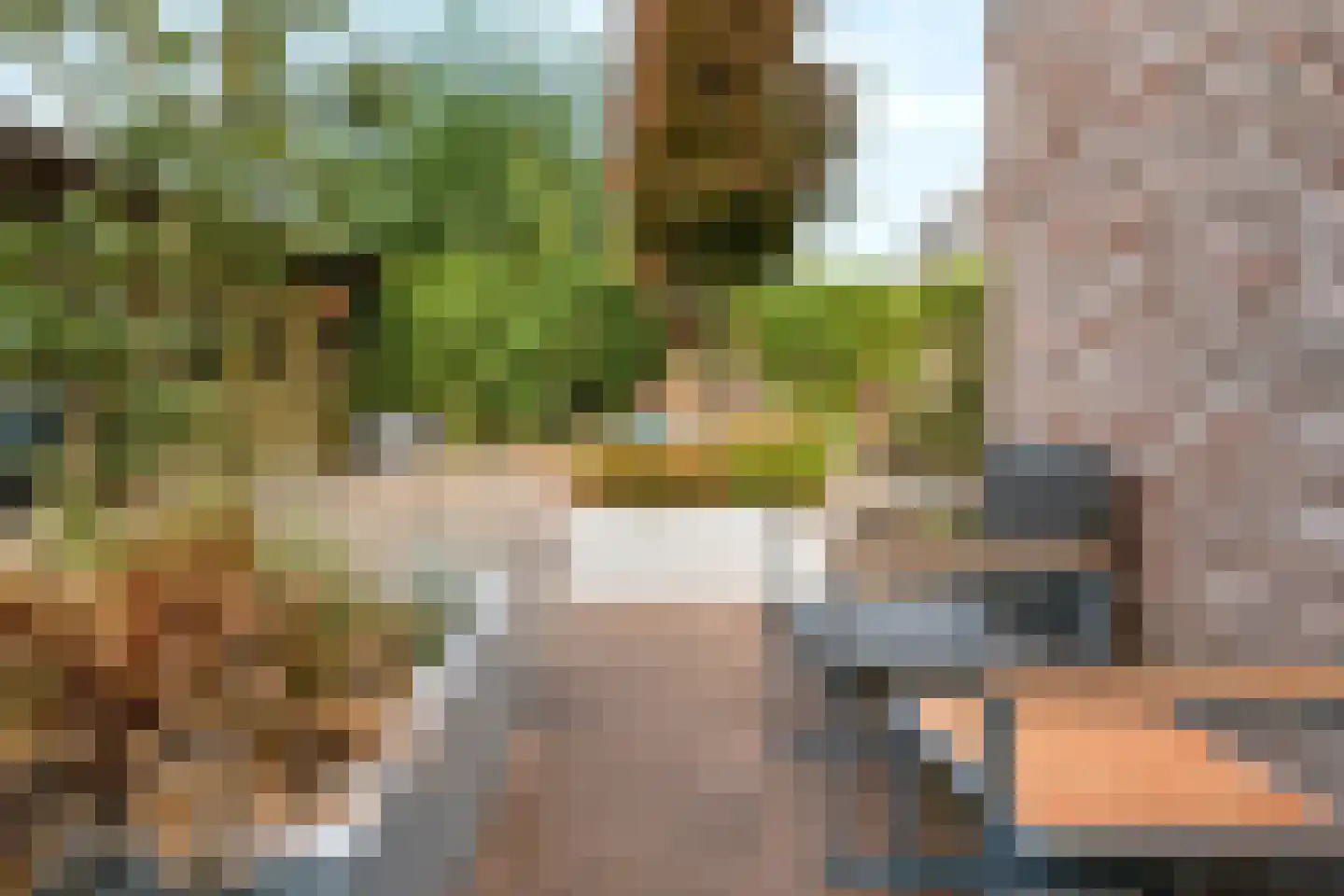 Saltshof 2039 Wijchen thumbnail 48