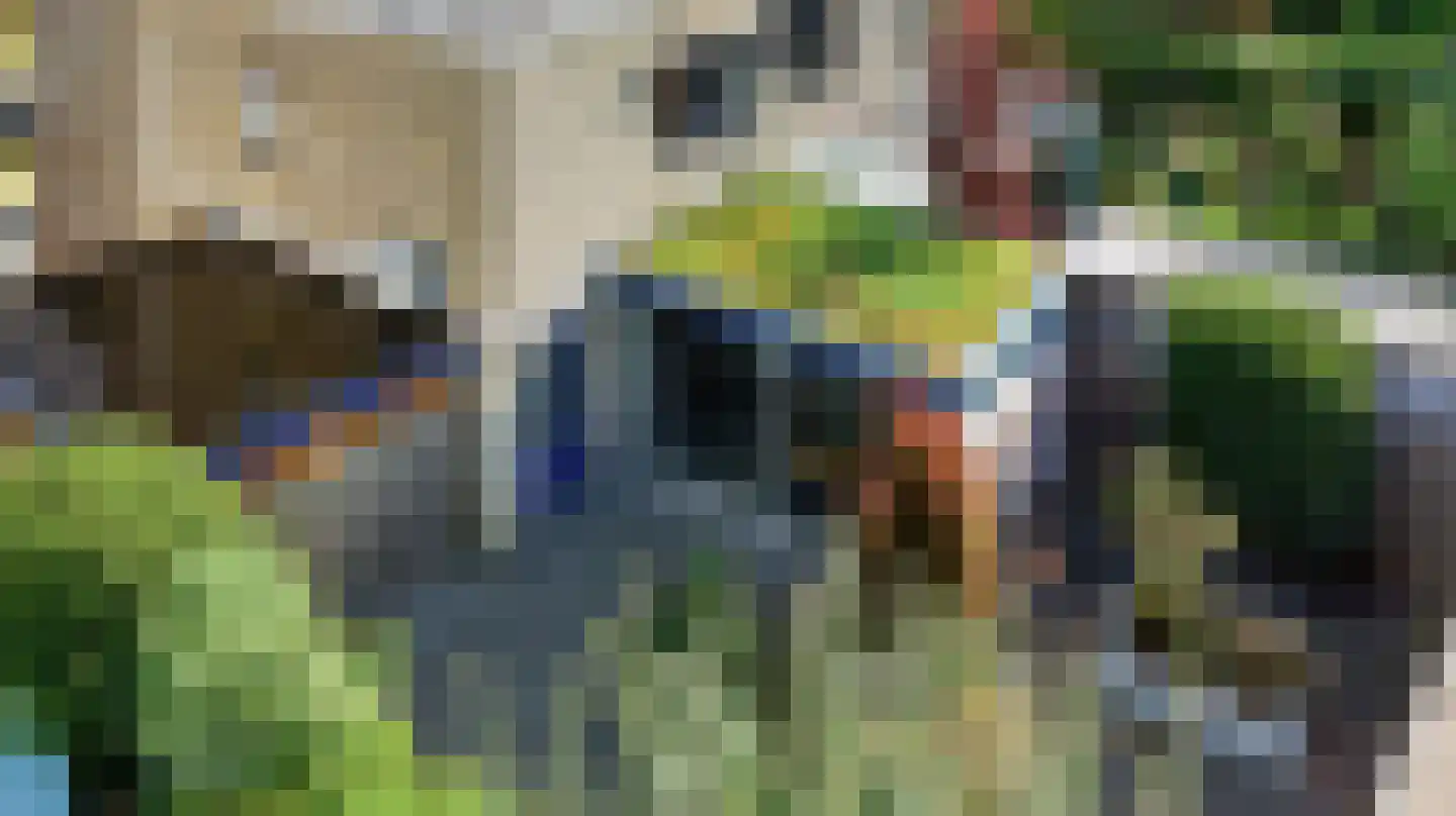 Saltshof 2039 Wijchen thumbnail 54