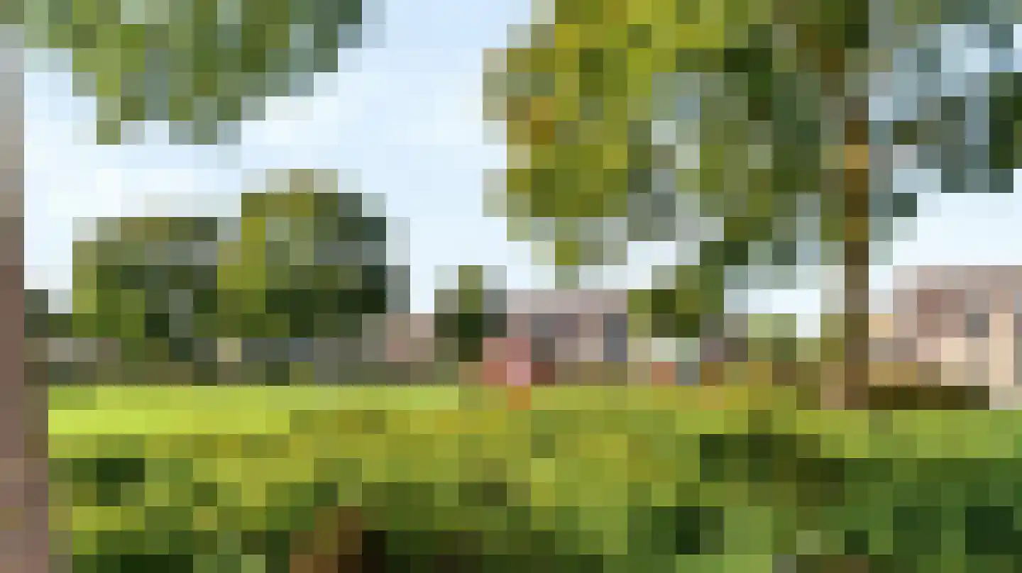 Saltshof 2039 Wijchen thumbnail 59