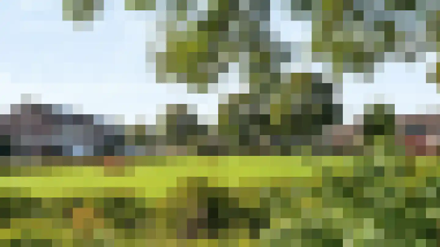 Saltshof 2039 Wijchen thumbnail 60
