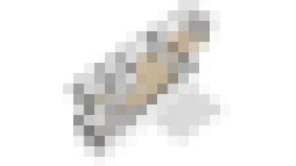 Saltshof 2039 Wijchen thumbnail 63