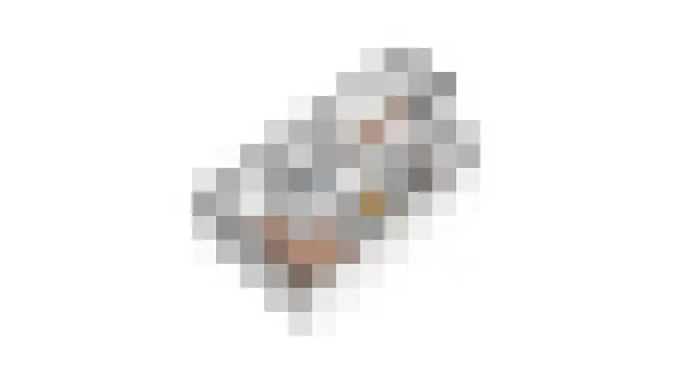 Saltshof 2039 Wijchen thumbnail 65