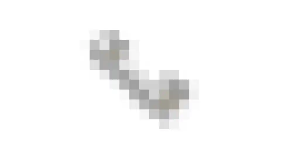 Saltshof 2039 Wijchen thumbnail 68