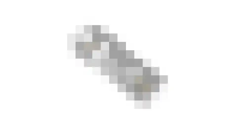Saltshof 2039 Wijchen thumbnail 69